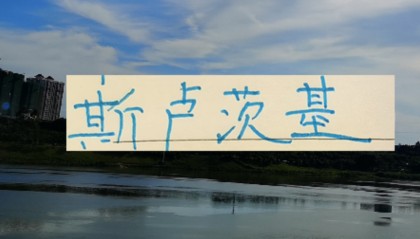 开云官网-不怕盖伊不进球 ！ 就怕这哥们在申花发飙！进塞内加尔国家队